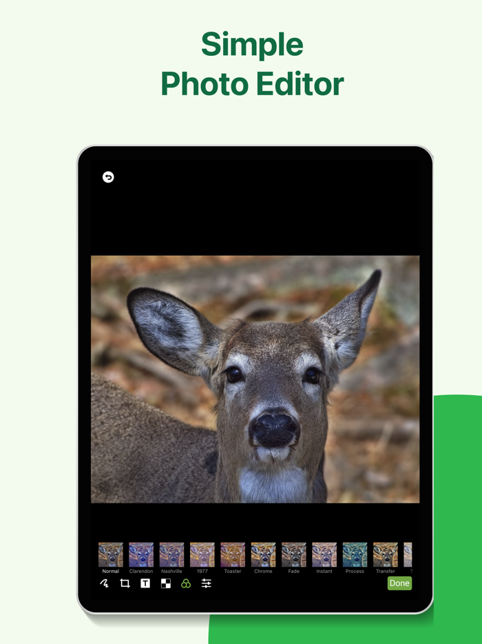 HolaS Private Photo Video Note