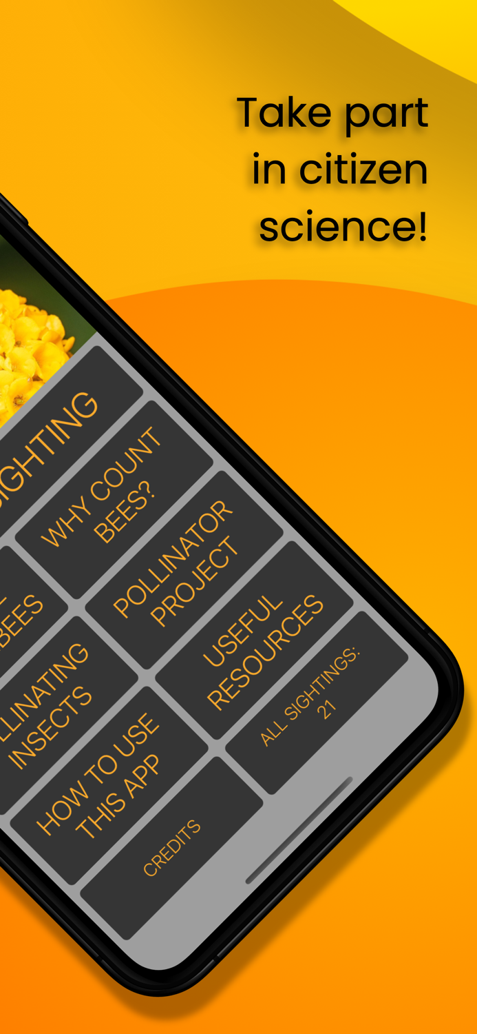 Bumblr - Guernsey Bumblebees