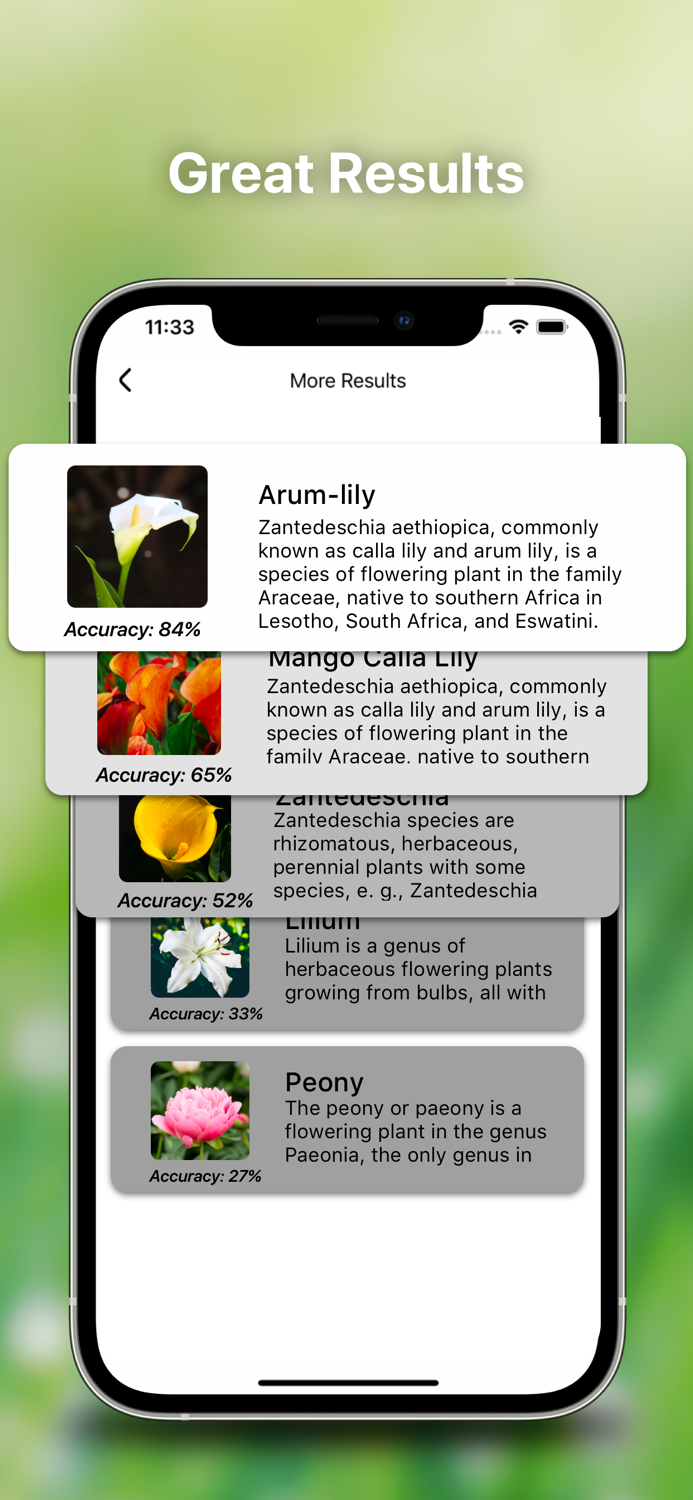 Bug Identifier Spider Insect