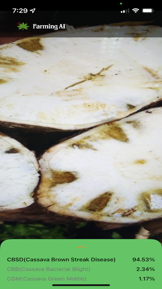 #2. Cassava Disease Diagnosis (iOS) Podle: Haesung Lee
