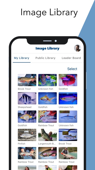 RecFish Screenshot