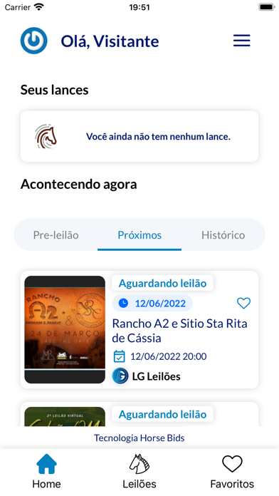 LG Leilões Screenshot