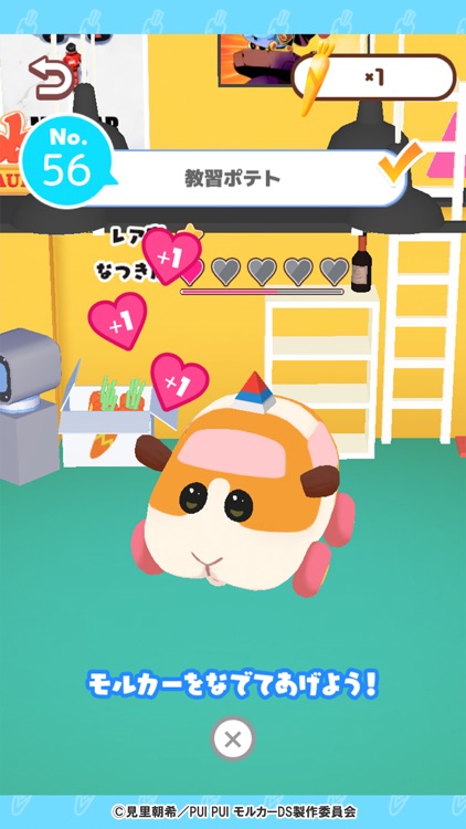 PUI PUI モルカー どきどきドライビングスクール screenshot-8