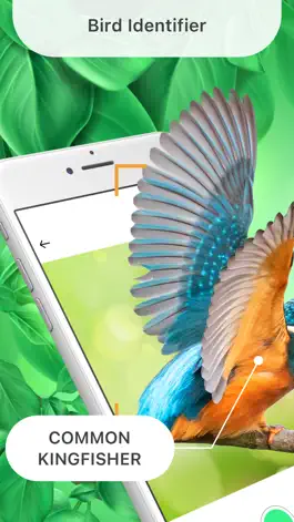 Game screenshot Bird Identifier By Sound ID mod apk