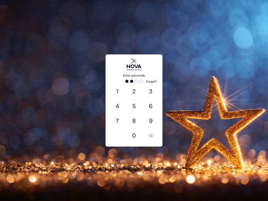 Nova CU eBranch iPad screenshot 2 - Finance app