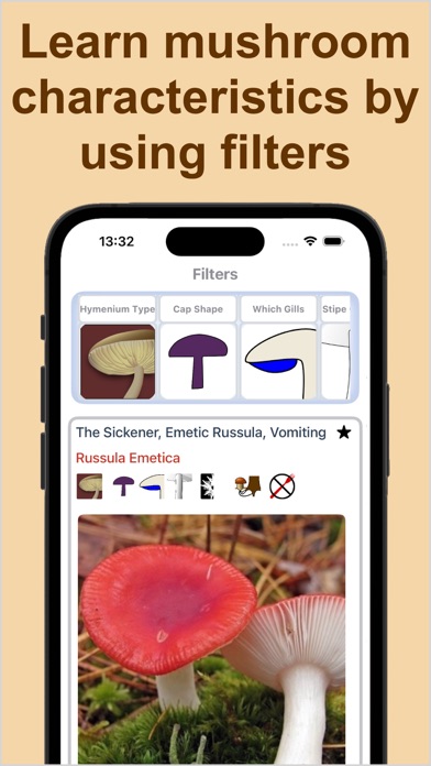 Forest Mushroom Identification Screenshot