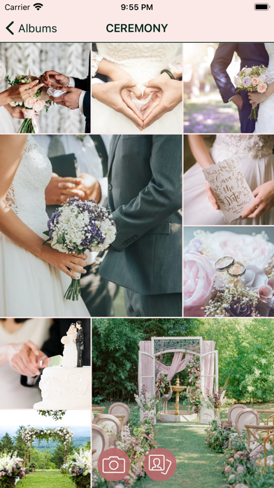 Wedding gallery Screenshot