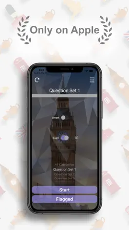 Game screenshot Life In The UK Theory Lite apk