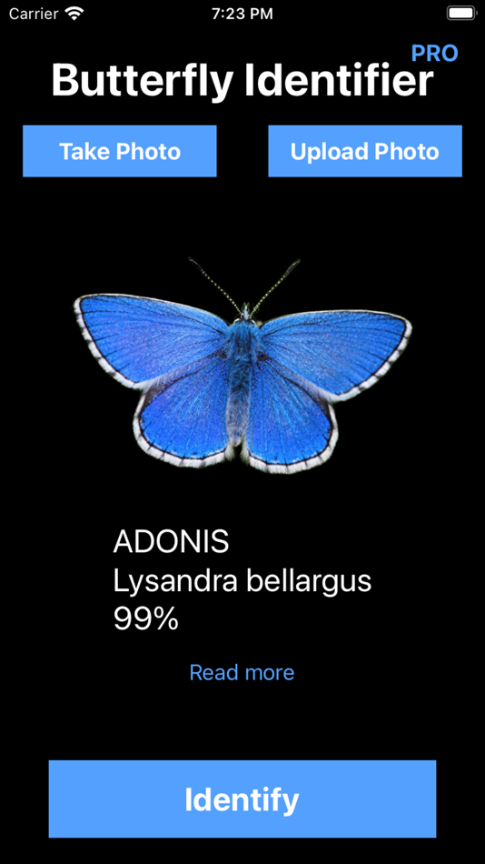 #2. Butterfly Identifier: Moth ID (iOS) 由: Tolkyn Raimbayeva