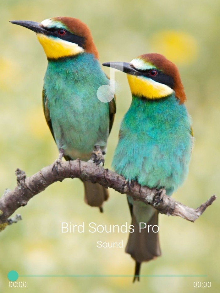 Bird Sounds Pro Plus