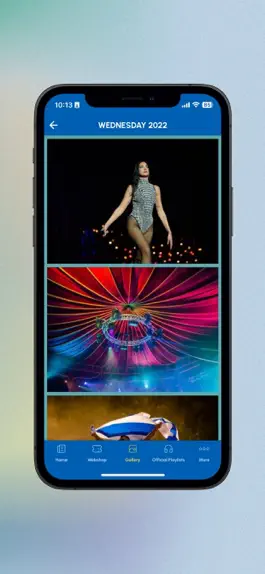 Game screenshot Sziget Festival hack