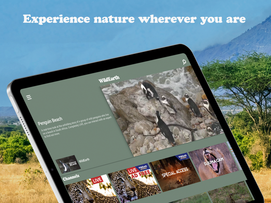 Screenshot #5 pour WildEarth TV - Nature Safari