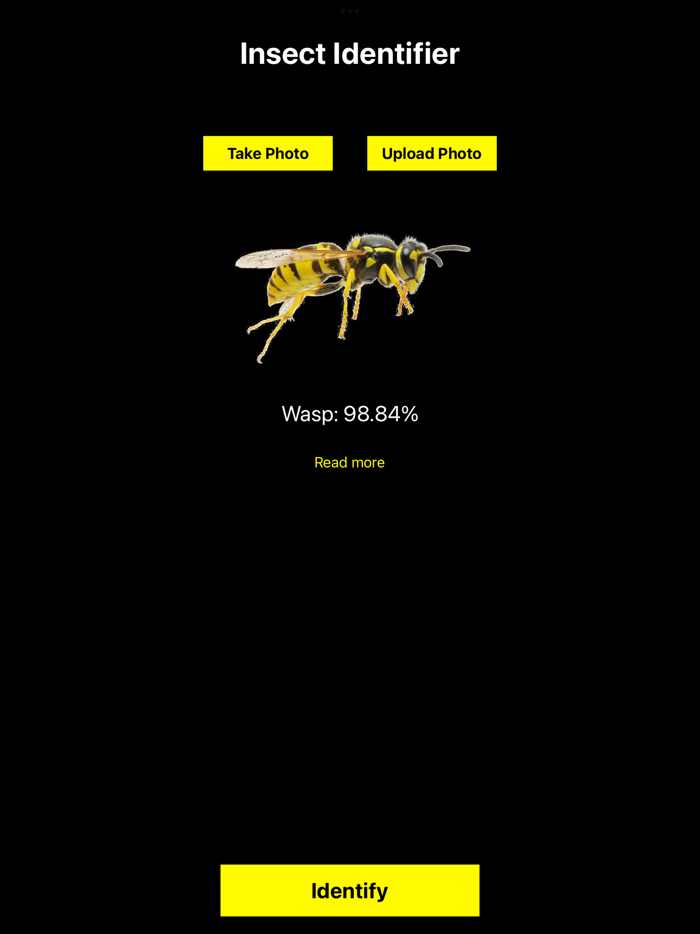 Insect Identifier Bug ID