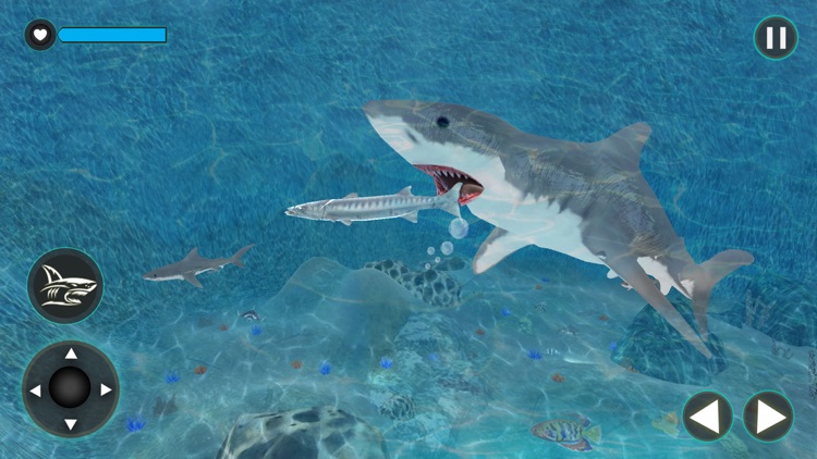 Hungry Shark Attack Simulator