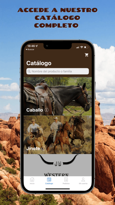 Jani Western Screenshot