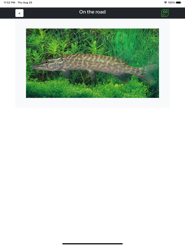 Biodiversità umbra on the road