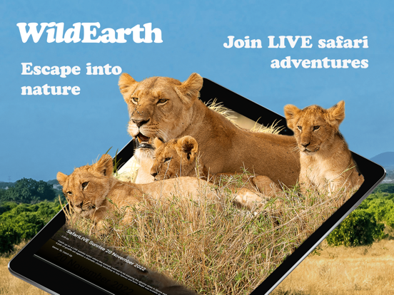 Screenshot #4 pour WildEarth TV - Nature Safari