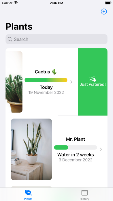 Water That Plant Screenshot
