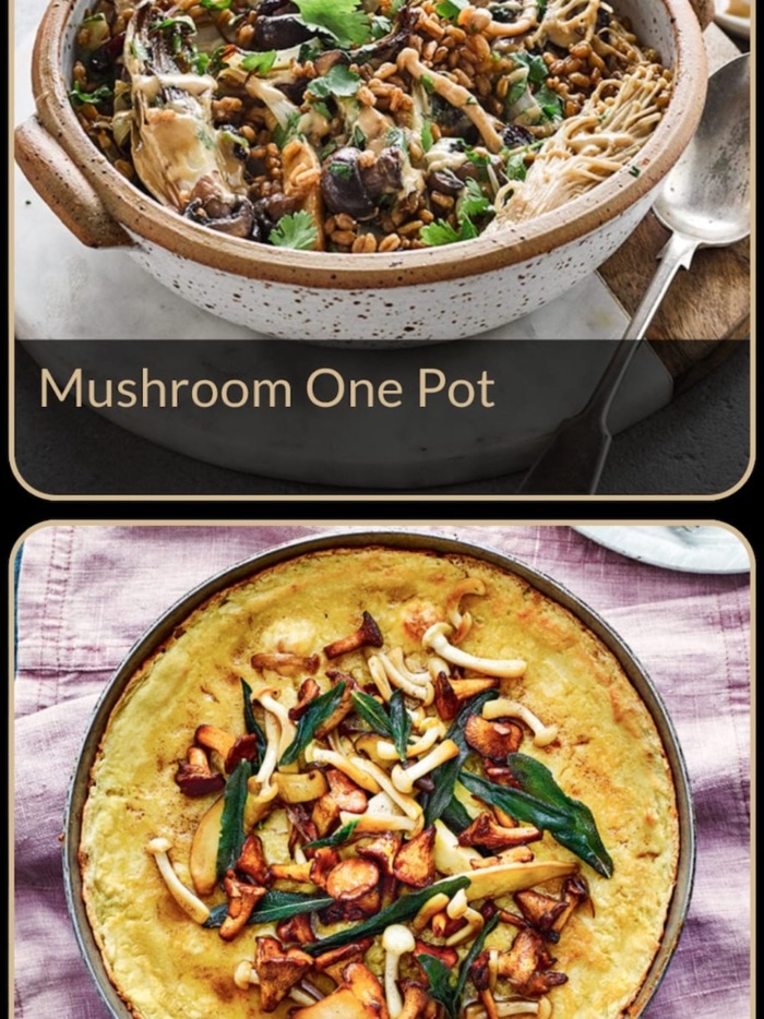 Mushroom Recipes Plus