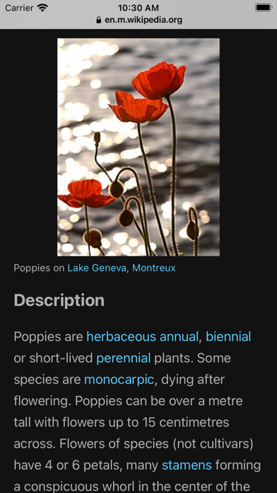 Identify Flower Plant by Photo Screenshot