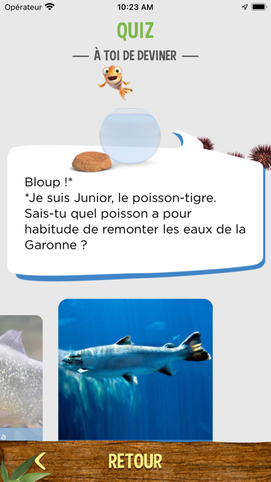 Toulouse en famille Screenshot