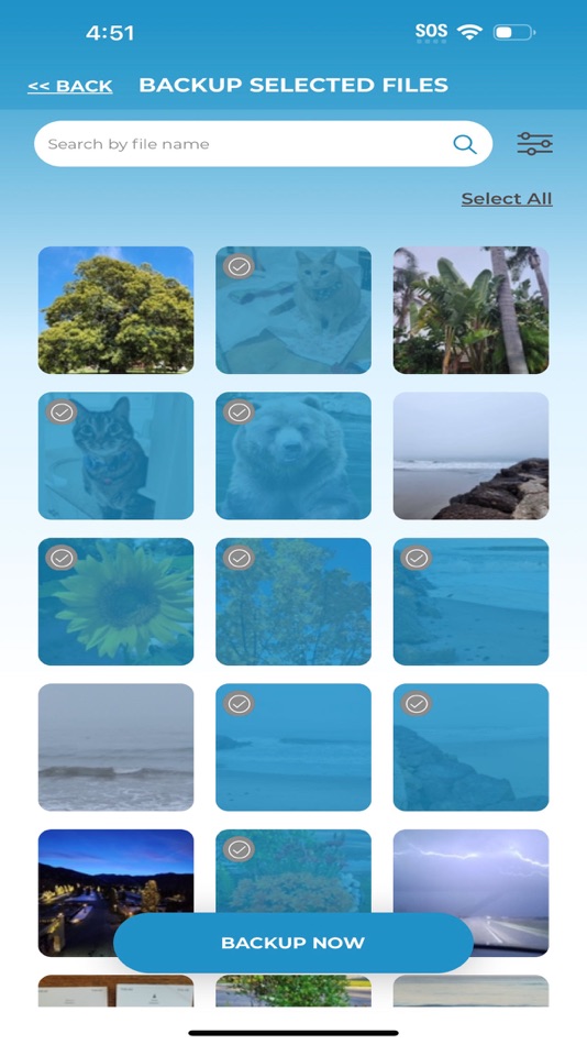 #3. ThePhotoStick Omni (iOS) 来自: Prairie It, Inc