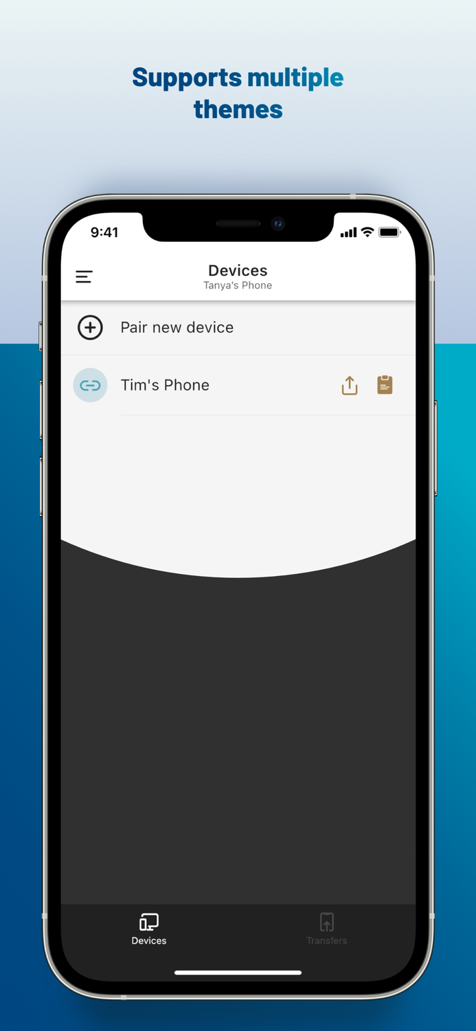 Secure File Transfer