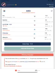 critical abg ipad images 2