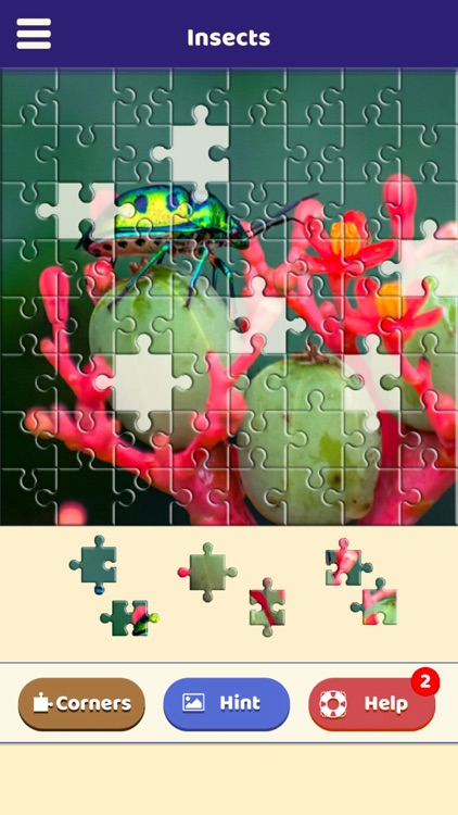 Insect Love Puzzle screenshot-4