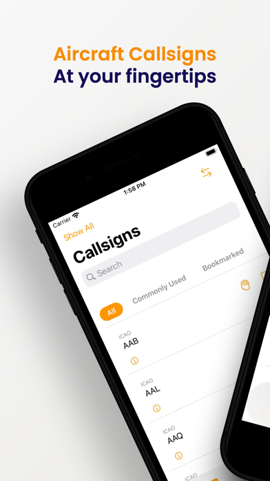 Airline Callsigns Screenshot