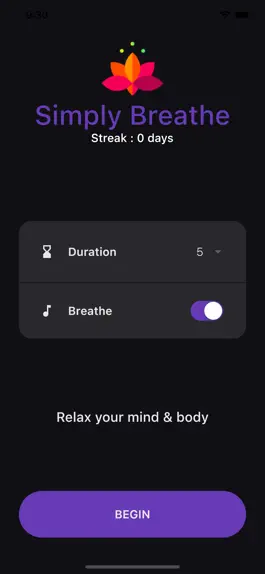 Game screenshot Simply Breathe App mod apk