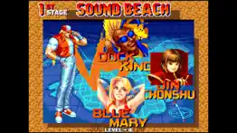 real bout fatal fury problems & solutions and troubleshooting guide - 2