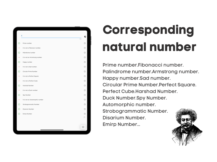 What Numbersnumber theory