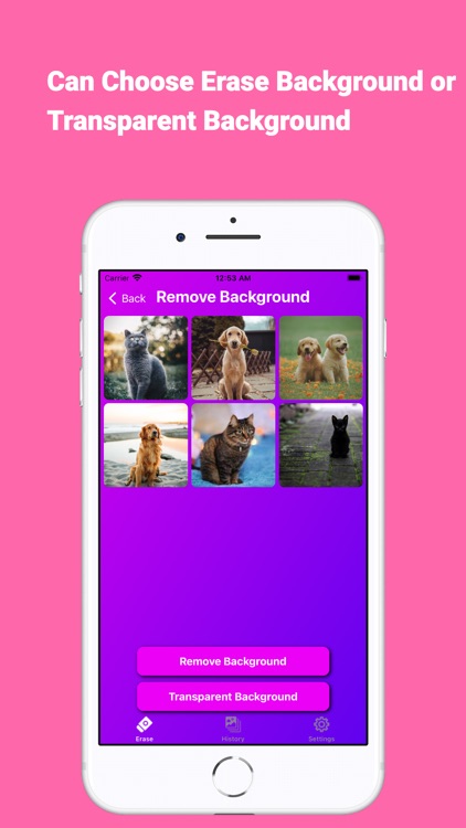 Background Transparent