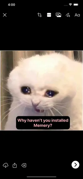 Game screenshot Memery - Meme Generator apk
