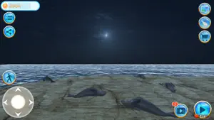 Seal Island screenshot 4
