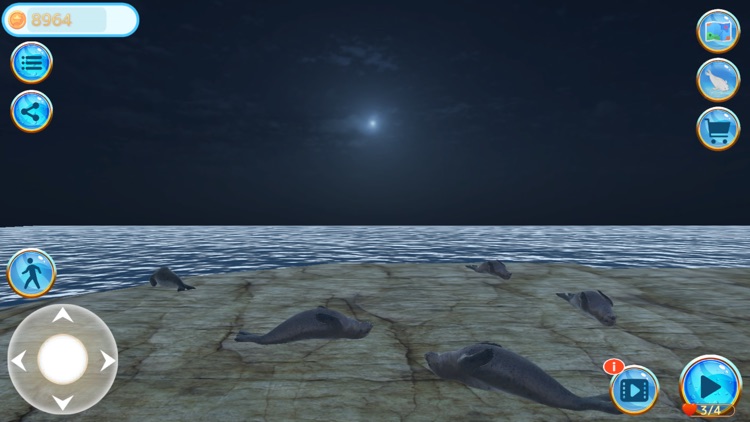 Seal Island screenshot-3