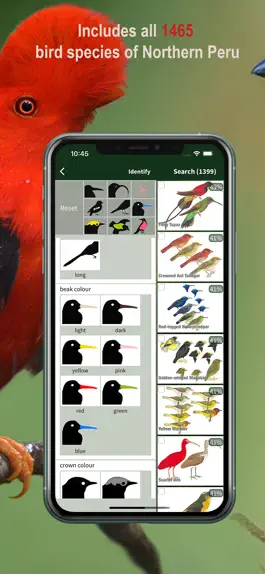 Game screenshot All Birds Northern Peru apk