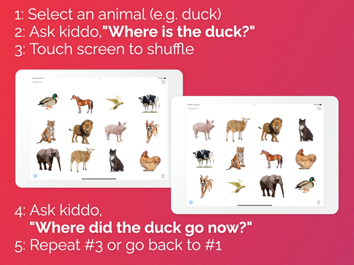 REX Receptive Expressive ID