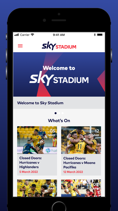Sky Stadium Screenshot