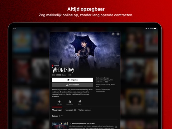 Netflix iPad app afbeelding 3