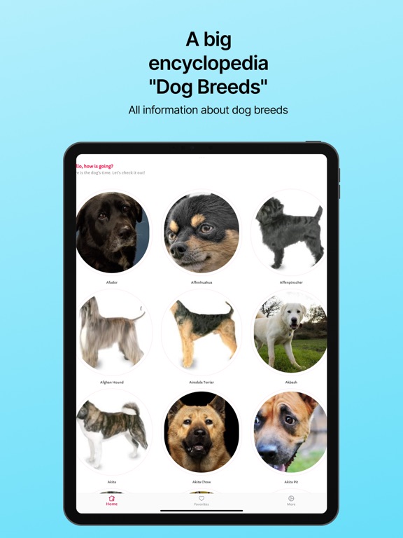 Dog Breeds: All Dog Identifyのおすすめ画像5