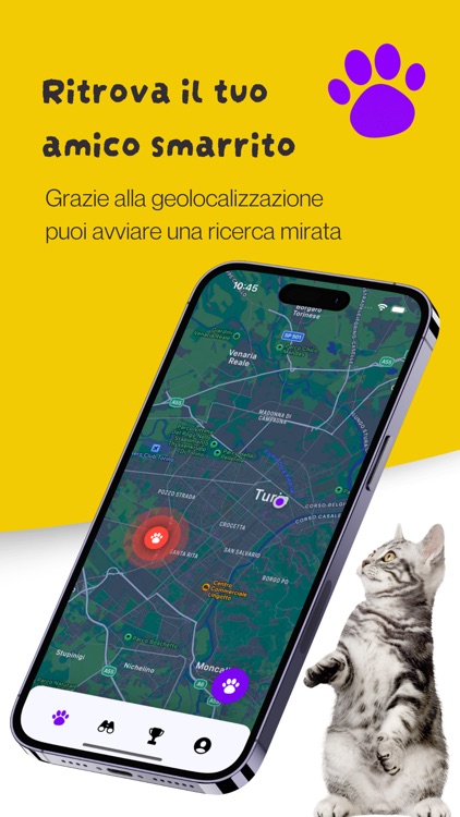 Pets - Animali smarriti