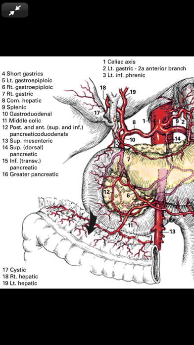 Zollinger Atlas of Surgery 11Eのおすすめ画像8