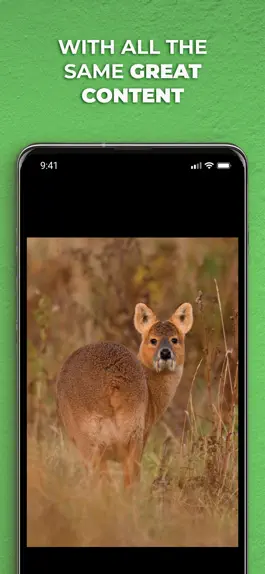 Game screenshot The Field Magazine INT hack