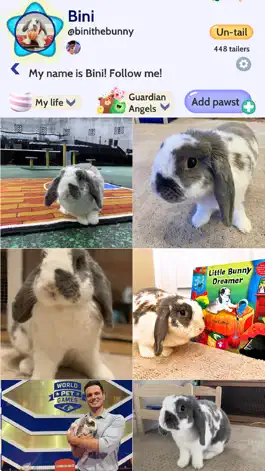 Game screenshot Licky- Social Media for Pets mod apk