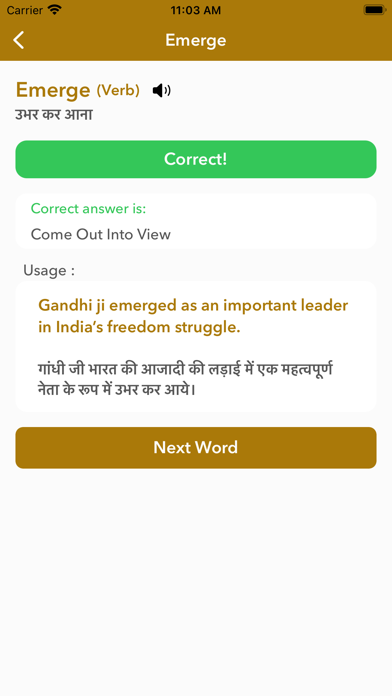 Hindi Dictionary : Word Games Screenshot