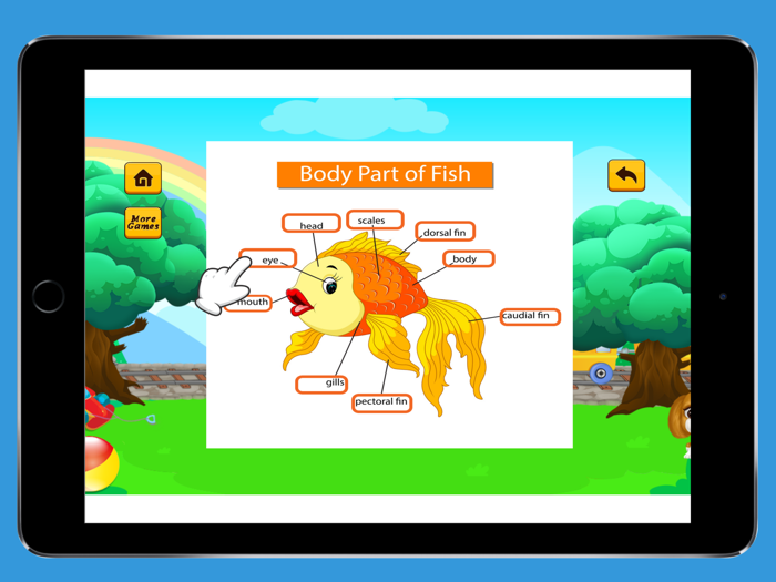 English Vocabulary Beginner