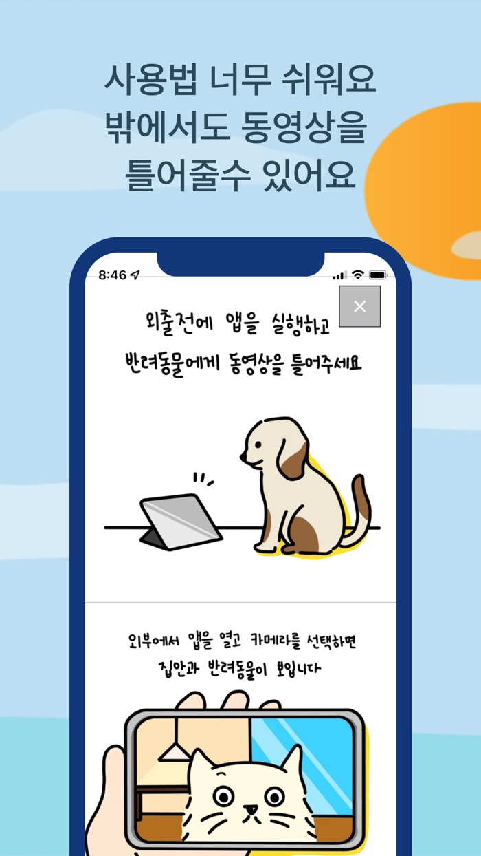 반즐 - 반려친구를 위한 동영상 CCTV