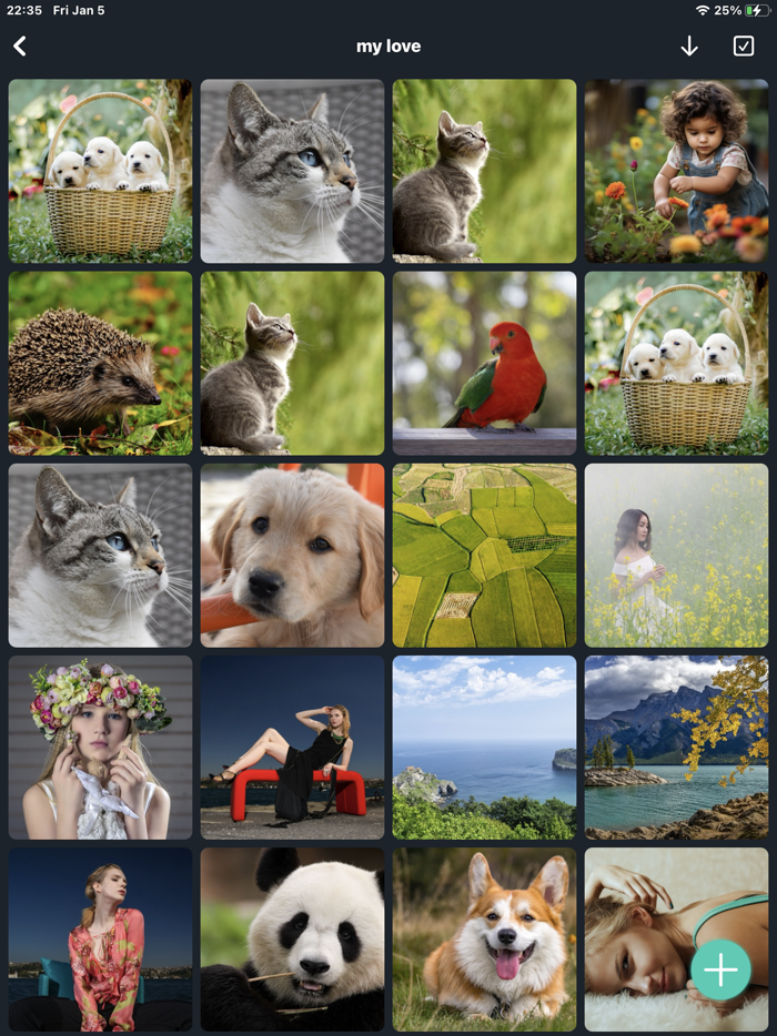 Phone Master - Clean Storage